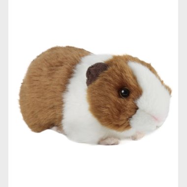 LIVING NATURE BAMSER