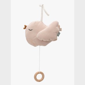 Jollein Spilledse, Lovely Birds