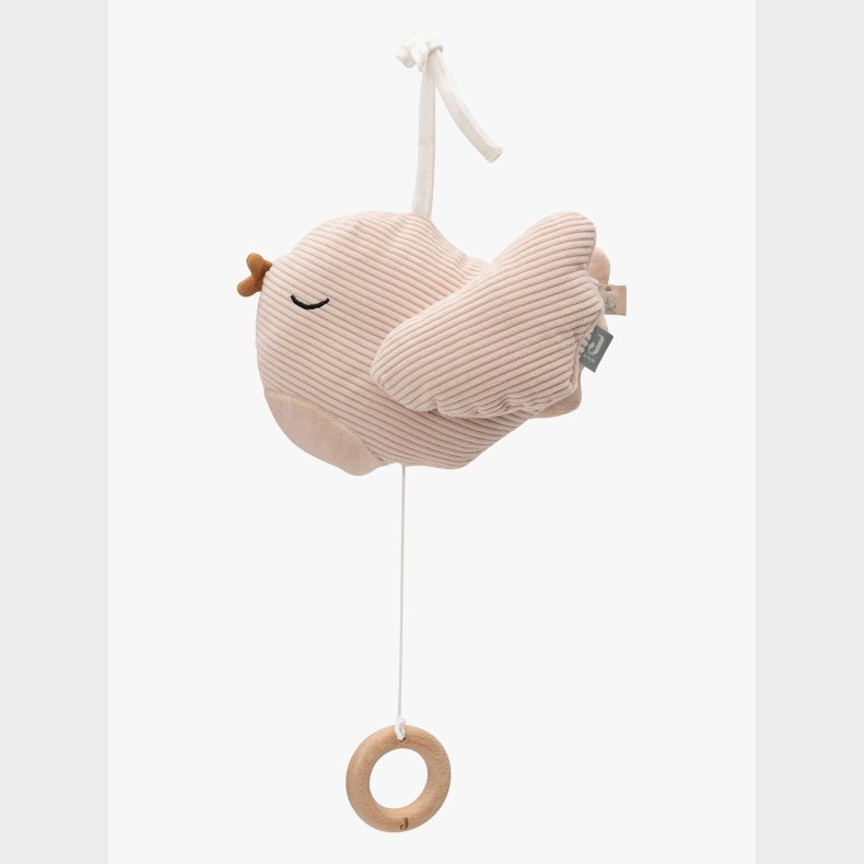 Jollein Spilledse, Lovely Birds