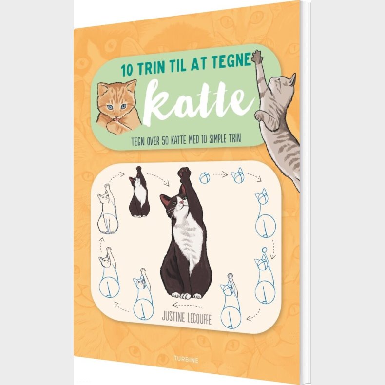 10 Trin Til At Tegne Katte - Justine Lecouffe - Bog