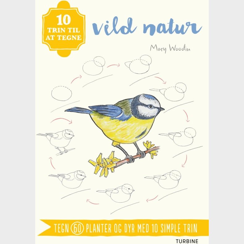 10 Trin Til At Tegne Vild Natur - Mary Woodin - Bog