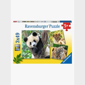 Ravensburger Puslespil Panda, Lion and Tiger 3x49 Brikker