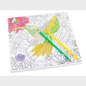 Sense | Malebog Mindfulness -30 sider