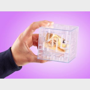 Money Maze Pengelabyrint