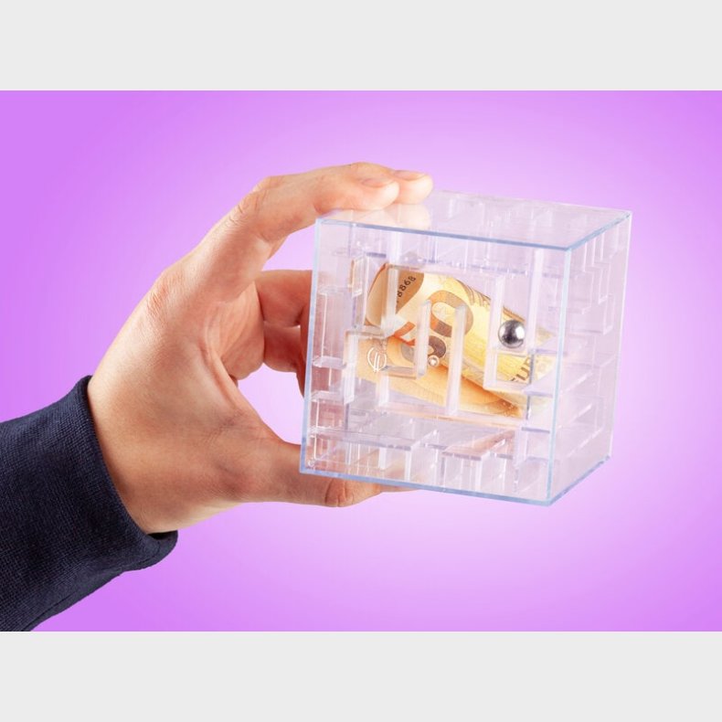 Money Maze Pengelabyrint