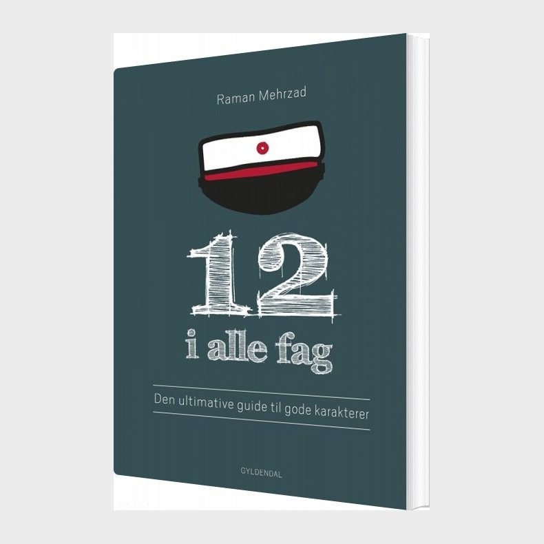 12 I Alle Fag - Raman Mehrzad - Bog