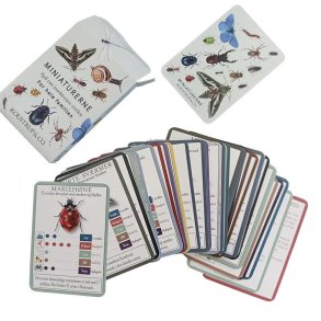 Kortspil - Miniaturerne, Insekternes verden