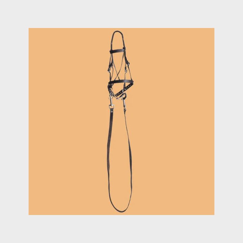 HUMMA | HUMMA tilbehr - Trense, Sort Medium