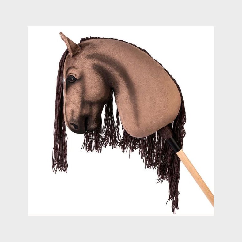 HUMMA kphest XL dressur - Varmblod "Rising Star"