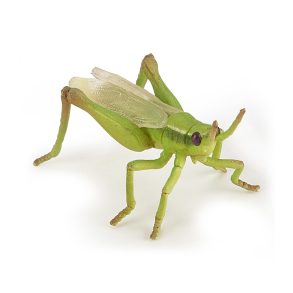 Papo | Grshopper - L: 6,5 cm