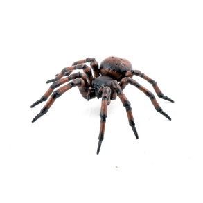 Papo | Husedderkop - L: 6,3 cm