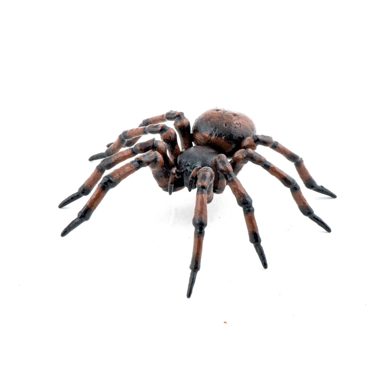 Papo | Husedderkop - L: 6,3 cm