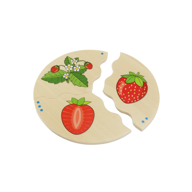 Beleduc | Puslespil i ske - Frugter, 5 stk