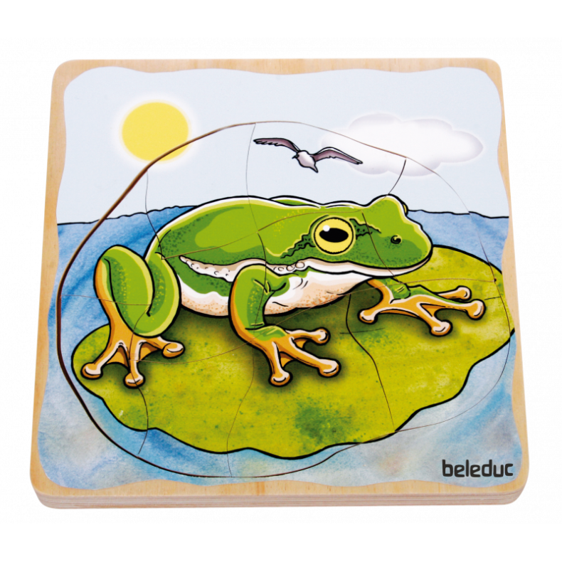 Beleduc | Lag puslespil - Frens livscyklus