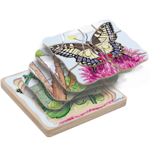 Beleduc | Lag puslespil - Sommerfuglens livscyklus