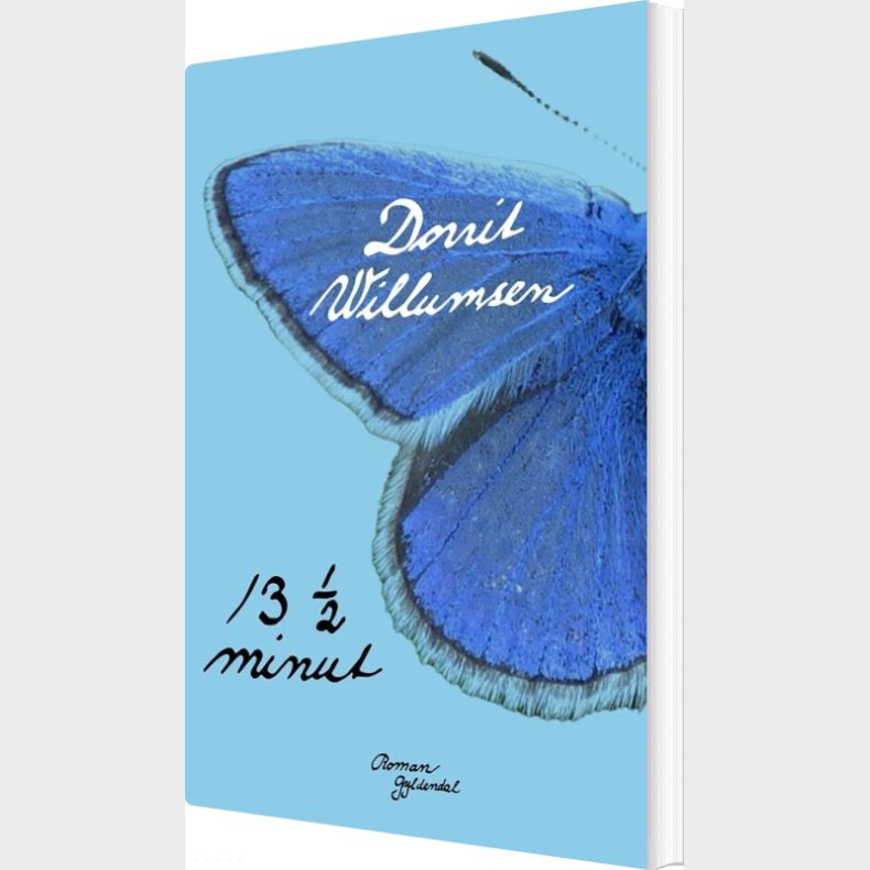 13   Minut - Dorrit Willumsen - Bog