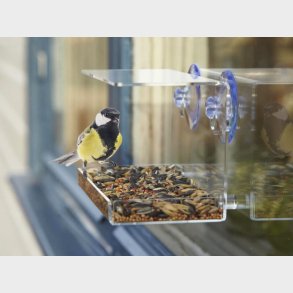 Fuglefoderbrt til Vinduet - Utenu