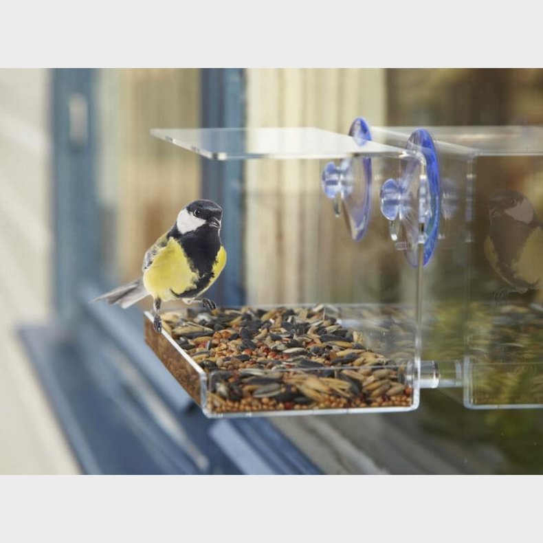 Fuglefoderbrt til Vinduet - Utenu