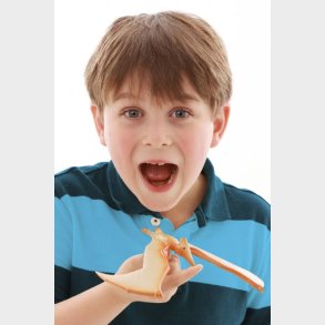 Brainstorm | Balancerende flyvegle, Pteranodon