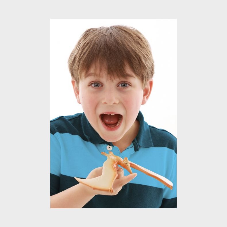 Brainstorm | Balancerende flyvegle, Pteranodon