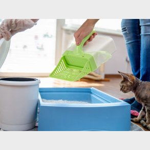 Scoop Up! Kattegrusskovl med Beholder