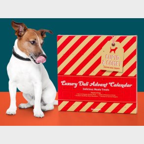 Cupid & Comet Luxury Hundekalender