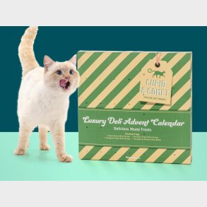 Cupid & Comet Luxury Kattekalender