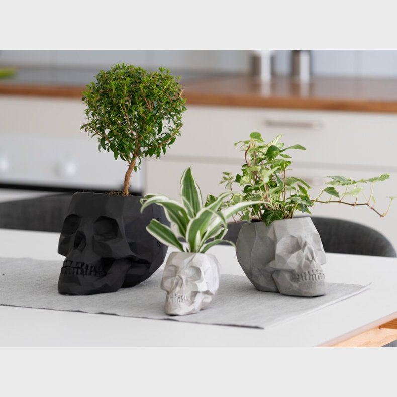 Ddningehoved Blomsterkrukke