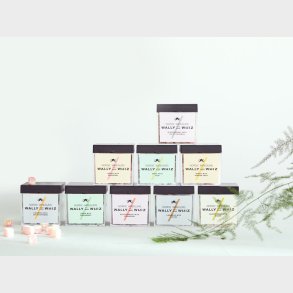 Wally and Whiz Vingummi