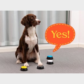 Optageknapper til Hund - Spralla