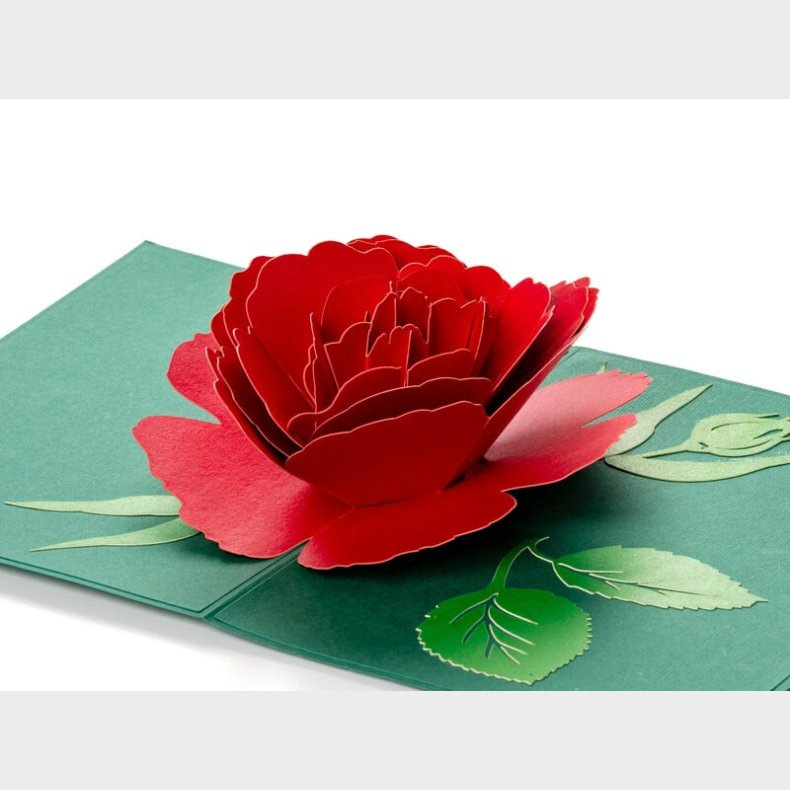 Pop Up-kort - R�d Rose