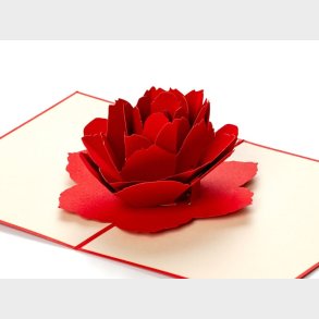 Pop Up-kort - Mrkerd Rose