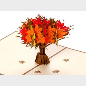 Pop up-kort  Efterrstr