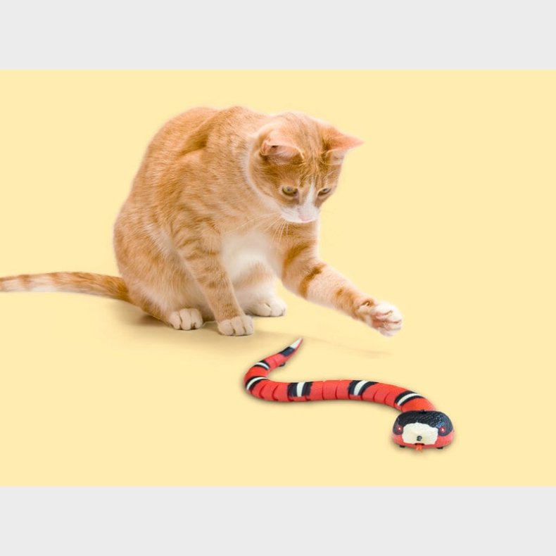 Smart Sensing Snake Kattelegetj