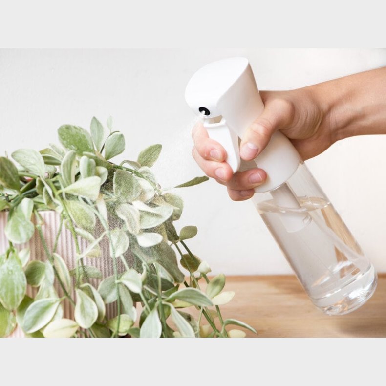 Sprayflaske med Mist