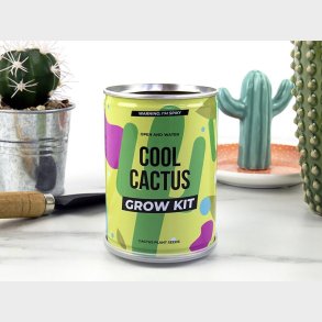 Cool Cactus Konservesplante