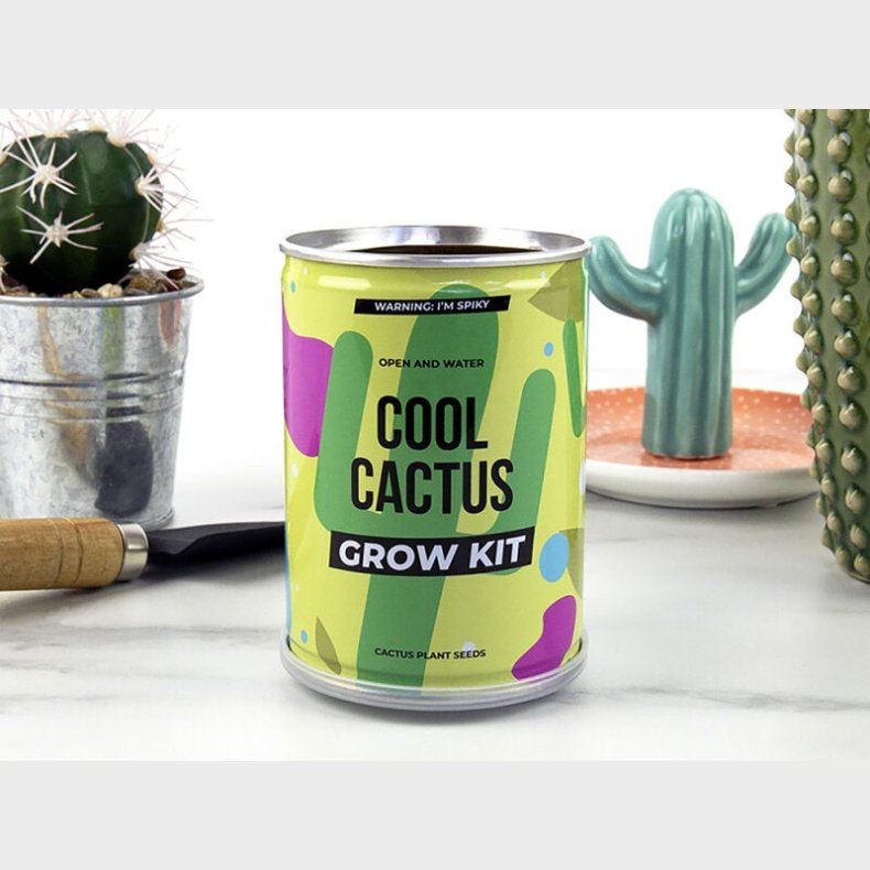 Cool Cactus Konservesplante