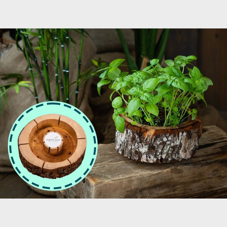 Organic Pod Dyrkningsst