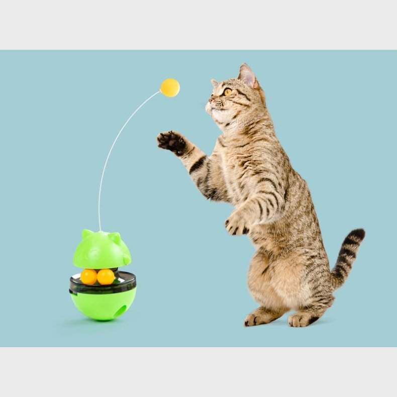 Aktivitetsg Kattelegetj