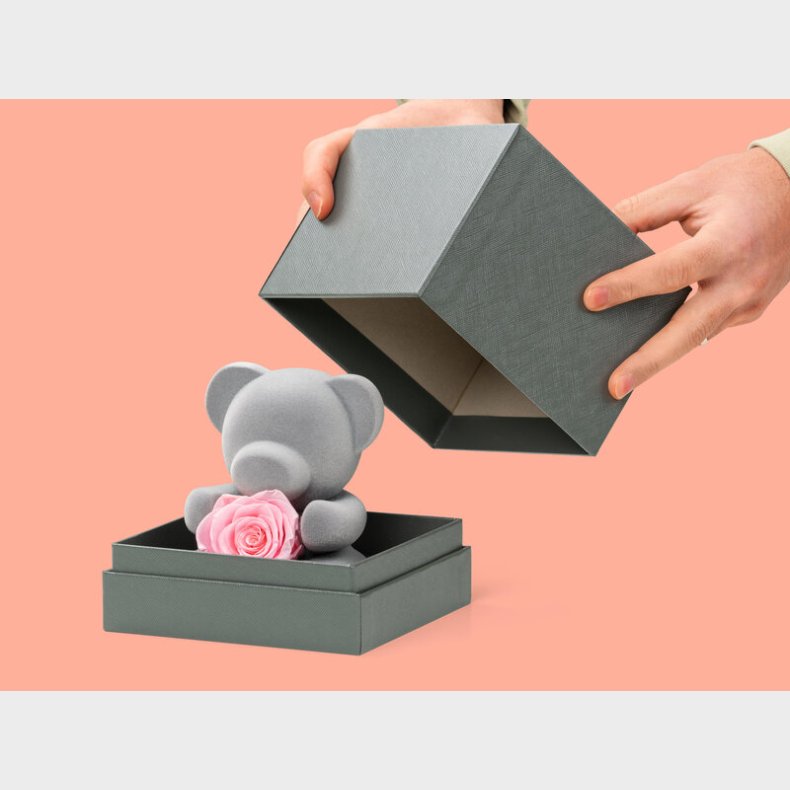 Bamse med Evighedsrose