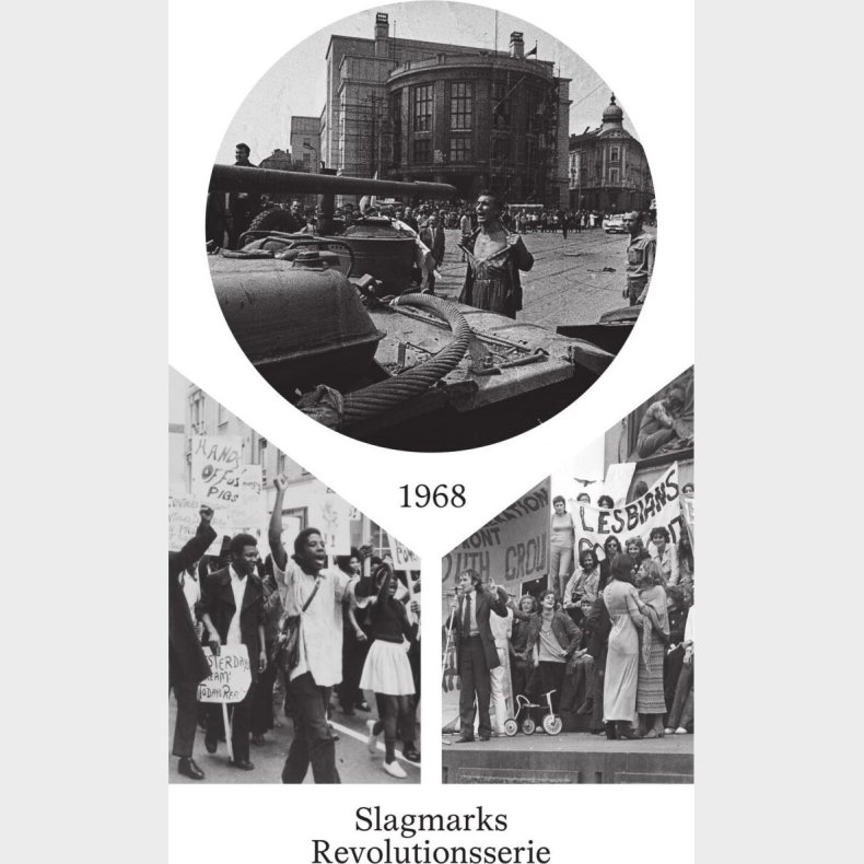 1968 - Bjarke Skrlund Risager - Bog