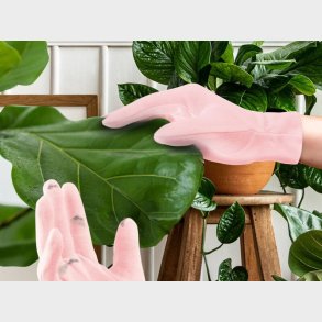 Mini Houseplant Rengringshandsker til Potteplanter