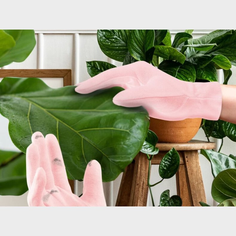 Mini Houseplant Rengringshandsker til Potteplanter