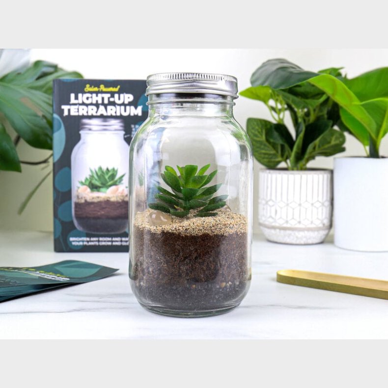 Solcelle Terrarium