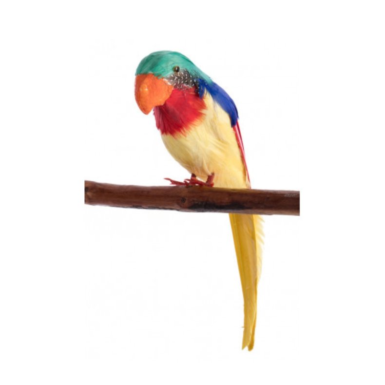 Carnival Toys | Papeg�je - H: 20 cm