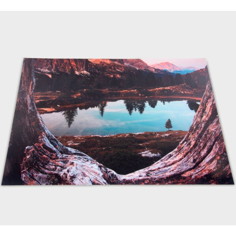 tickit | St scenen A2 - Skovsen