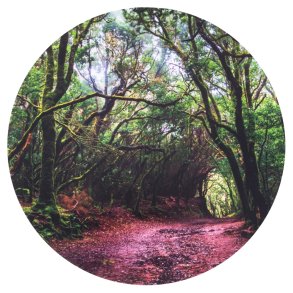 tickit | St scenen 62,5 cm - I skoven