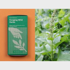 Frsamling - Vilde urter