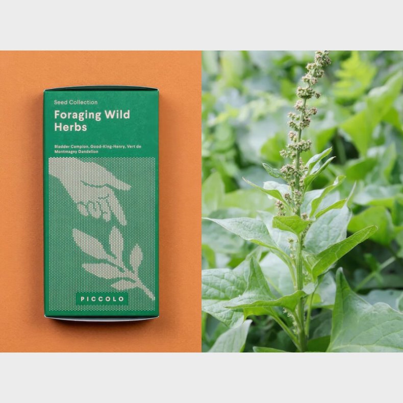 Frsamling - Vilde urter