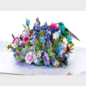 Pop Up-kort - Kolibri